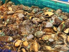 -初色海鲜自助(万丰路店)