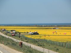 -青海湖国家重点风景名胜区