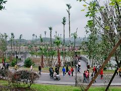 -枫香湖儿童公园