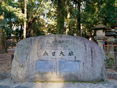-奈良公园