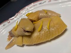 -子福慧(虹桥店)