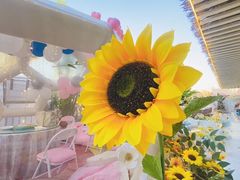 -天空花园餐吧·生日·团建(南山店)