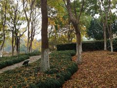 -白塘生态植物园