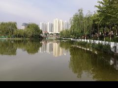 -雁滩公园