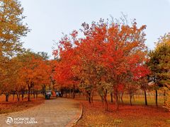 -东郊湿地公园
