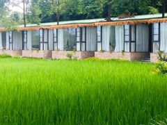 -洪湖家庭农场·团建·露营·会议