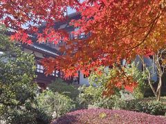 -穹窿山景区