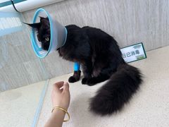 -爱派特动物医院·全科诊疗中心