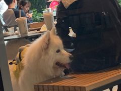-星巴克(南宁华润幸福里店)