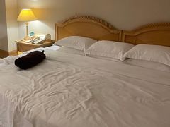 -南京维景国际大酒店(南京博物院店)