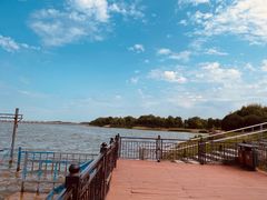 -丁香湖公园