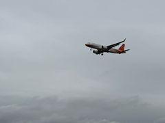 -空港花田景区