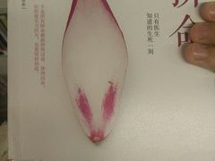 -青岛市图书馆