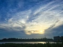 -奉贤海滩