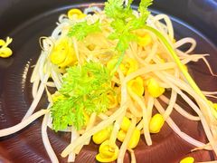 -云海肴云南菜·蒸汽石锅鱼(青岛万象城店)