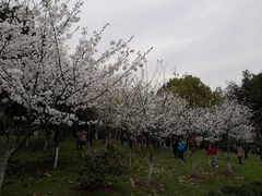 -堤角公园