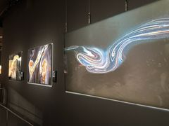 -罗红摄影艺术馆