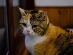 -隅cafe(傅厚岗店)