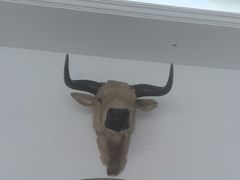 -黄牛肉馆·皖南土菜