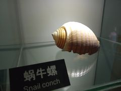 -泉城欧乐堡海洋极地世界