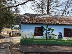 -白马涧龙池景区