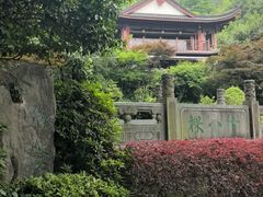 -十八棵（老龙井）御茶园(老龙井店)
