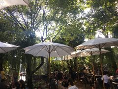 -Fern Forest Cafe