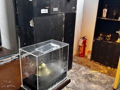 -谜盒子奇幻密室(南屏店)