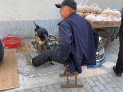 -共青国家森林公园-南大门停车场