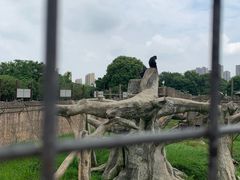 -南昌动物园
