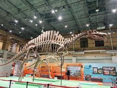 -国家自然博物馆