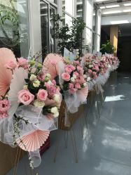 店内环境-中国科学院昆明植物研究所植物医生研发中心产品体验馆