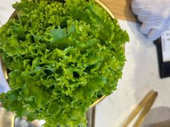 -杨记齐齐哈尔烤肉(总店)