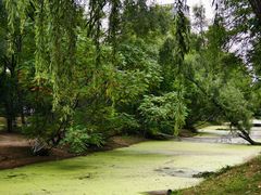 -长白岛森林公园