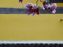 -阿育王寺