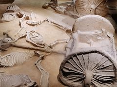 -洛阳周王城天子驾六博物馆