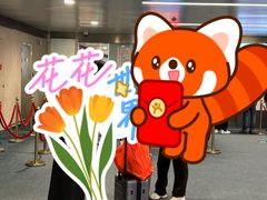 -青岛胶东国际机场
