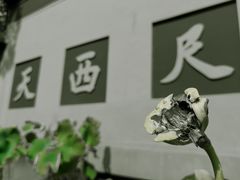 -灵隐飞来峰景区