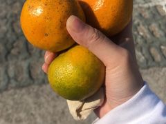 -美味之家·湖景农家乐(太湖东山店)