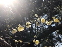 -大宁灵石公园西门票处