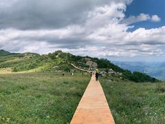 -白草畔自然风景区