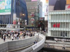 -蟹道乐(道顿堀本店)