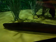 -上海海洋水族馆