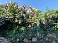 -奥兰多迪士尼动物王国乐园