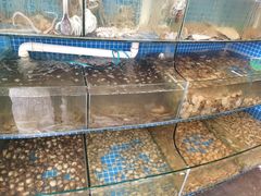 水产区-蟹谢蒸鲜自助餐厅