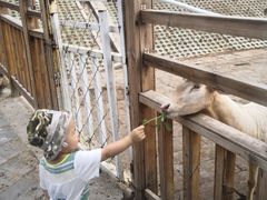 -北京鹿世界主题园