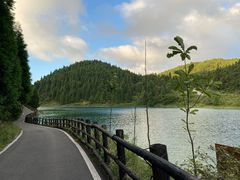 -武陵山森林公园
