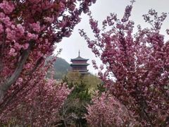 -石岛赤山风景区