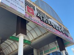 -西归浦每天偶来市场