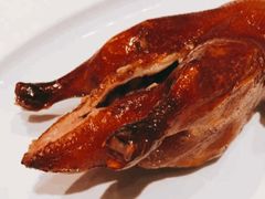 首创昆明BB乳鸭-东富酒家(龙湖西溪天街店)